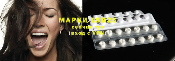 мдпв Касимов