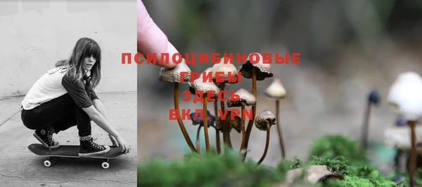 мдпв Касимов