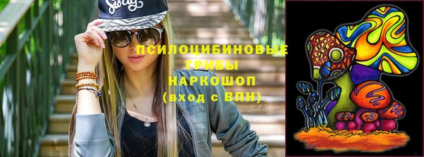 СК Карпинск