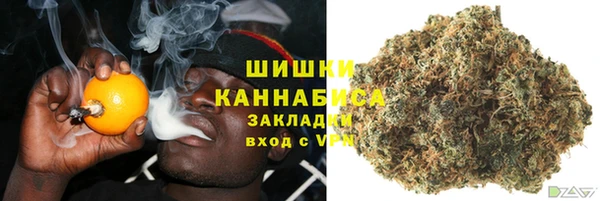 мдпв Касимов