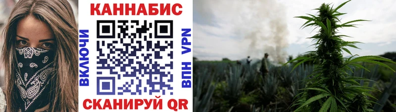 Конопля Amnesia  Купить закладки  Зеленодольск 
